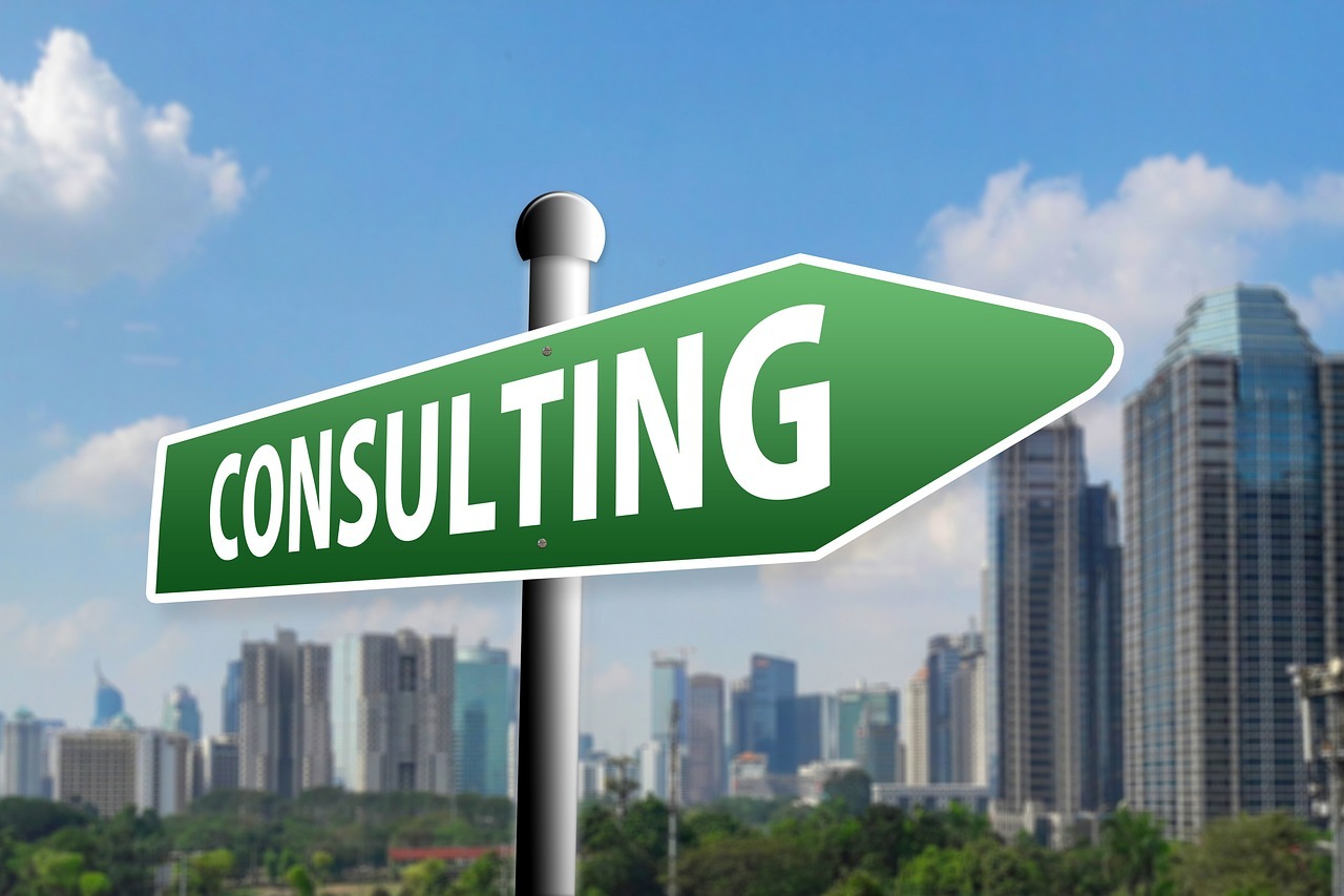 What is a strategy consultant?