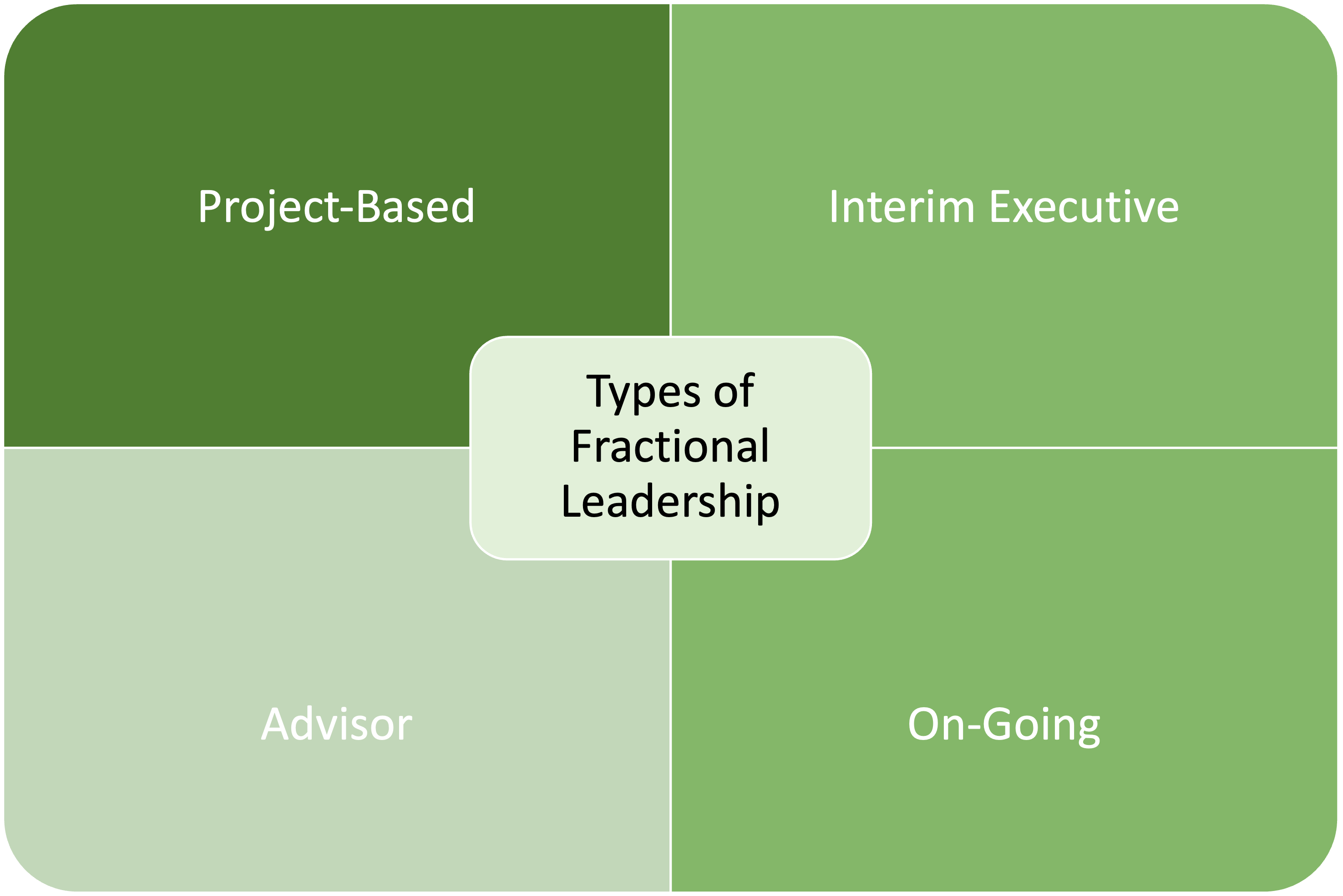 Types of Fractional Leadership