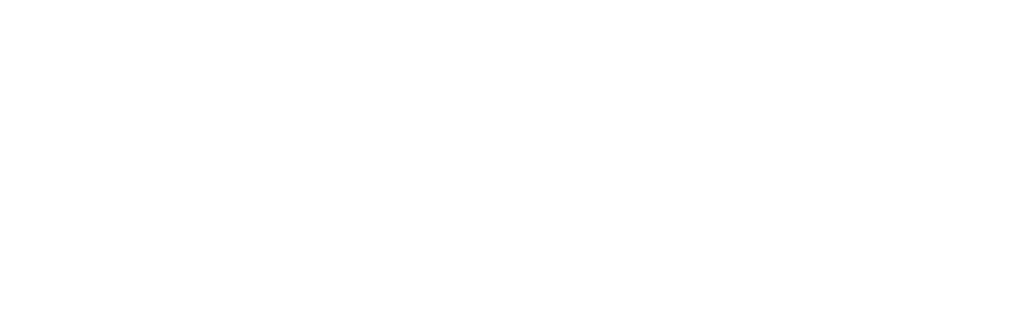 Franchise Strategy Co.